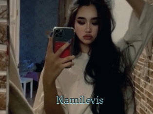 Namilevis