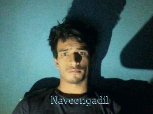 Naveengadil
