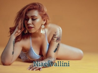 Niacavallini