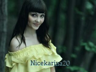 Nicekarina20