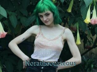 Norathcourteous