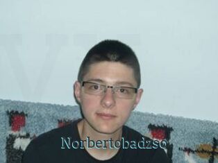Norbertobadzso