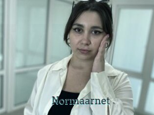 Normaarnet