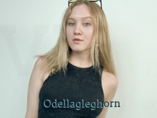 Odellagleghorn