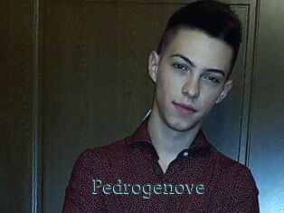 Pedrogenove