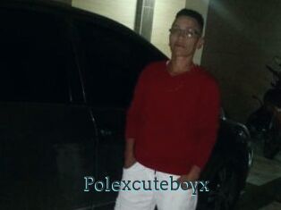 Polexcuteboyx