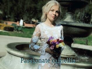 Passionate_camellia
