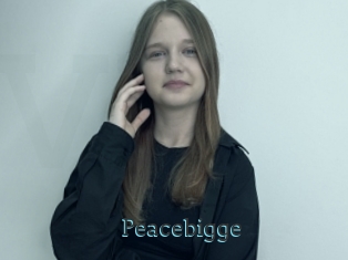Peacebigge