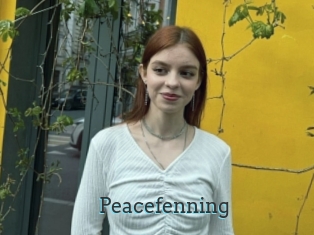 Peacefenning