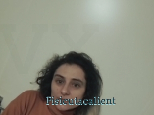 Pisicutacalient