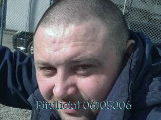 Pituliciul-06105006
