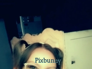 Pixbunny