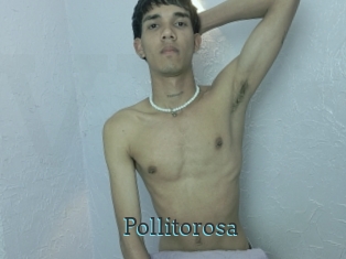 Pollitorosa
