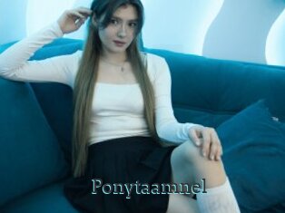 Ponytaamnel
