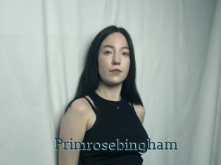 Primrosebingham