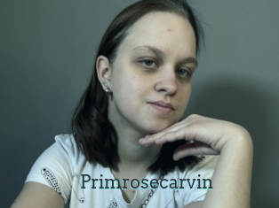 Primrosecarvin