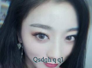 Qsdgh_q_q1