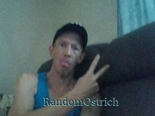 RandomOstrich