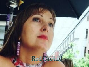 Red_Orchid