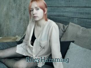 RileyHamming