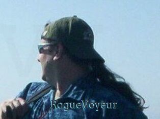 RogueVoyeur