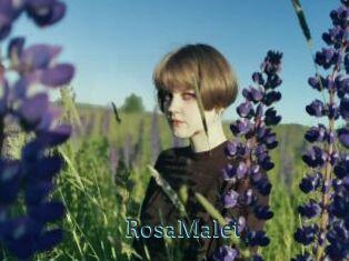 RosaMalet