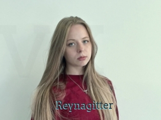 Reynagitter