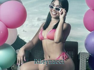 Rileynacci