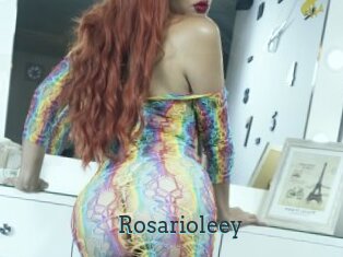 Rosarioleey