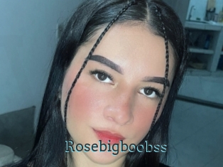 Rosebigboobss