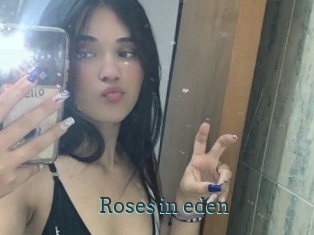 Roses_in_eden