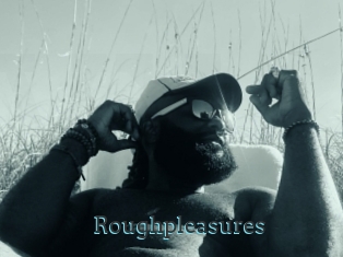 Roughpleasures