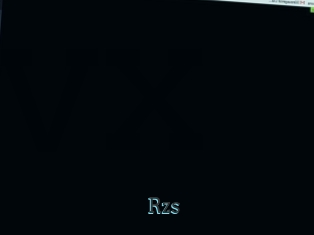 Rzs