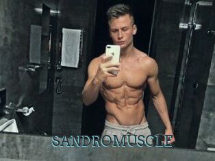 SANDRO_MUSCLE