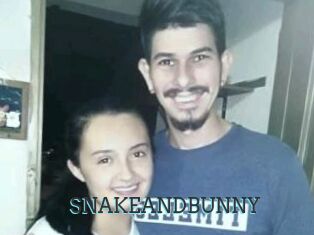 SNAKEANDBUNNY