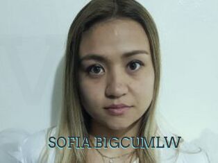 SOFIA_BIGCUMLW