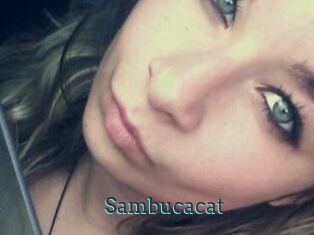 Sambucacat