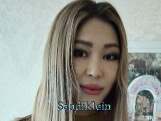 SandiKlein