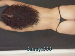 Sandy1000