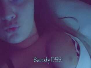 SandyD55