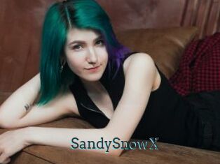 SandySnowX