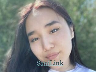 SaniLink