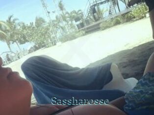 Sassharosse