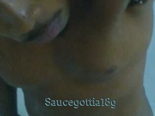 Saucegottia18g