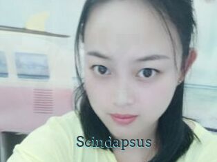 Scindapsus