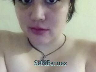 Sebi_Barnes