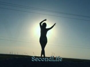 SecondLife