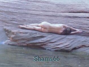 Shams66