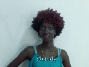 Shandy