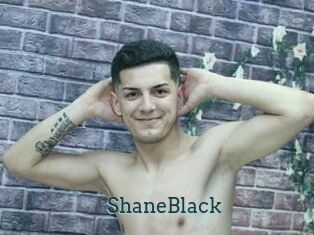 ShaneBlack